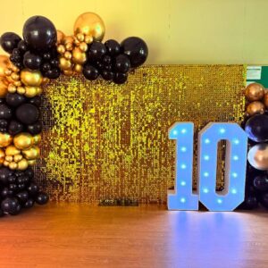 gold-shimmer-wall-midnight-gold-balloon-garland
